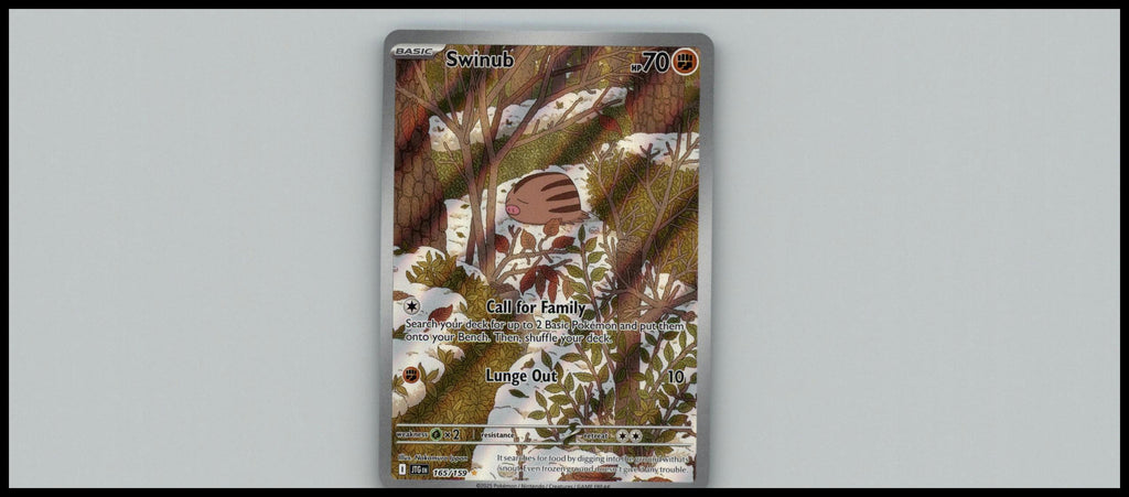 Swinub Random Constructed Starter Decks #106/100